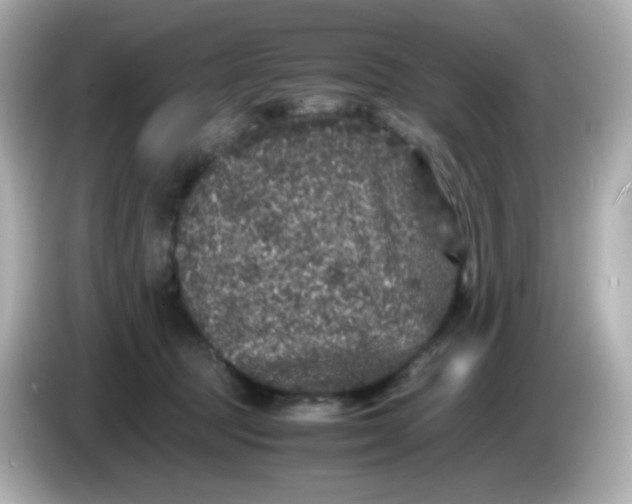 X0000086030369200704091137