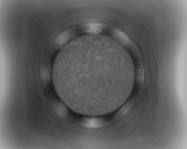 X0000086030370200704091137