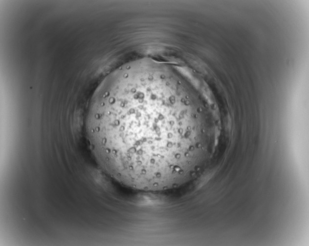 X0000086030372200704091137