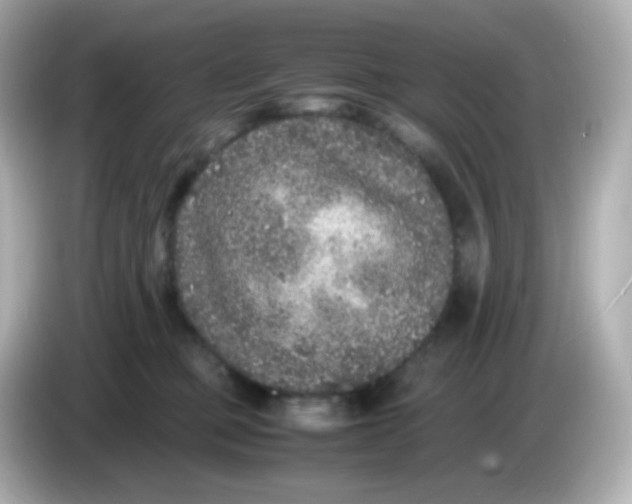 X0000086030373200704091137