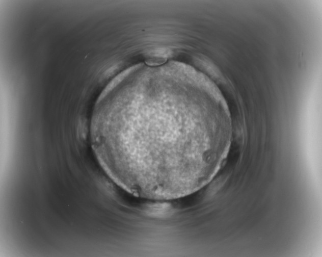 X0000086030374200704091137