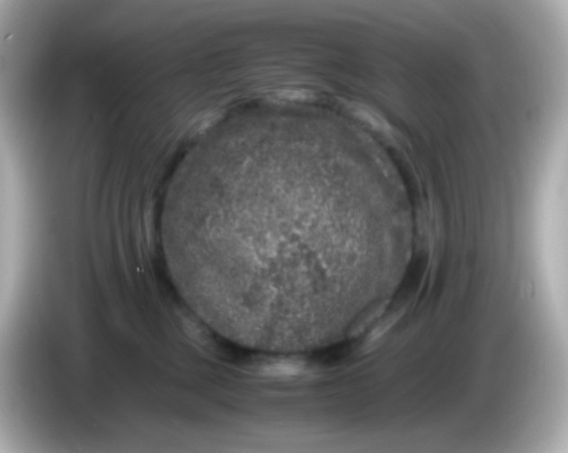 X0000086030377200704091137