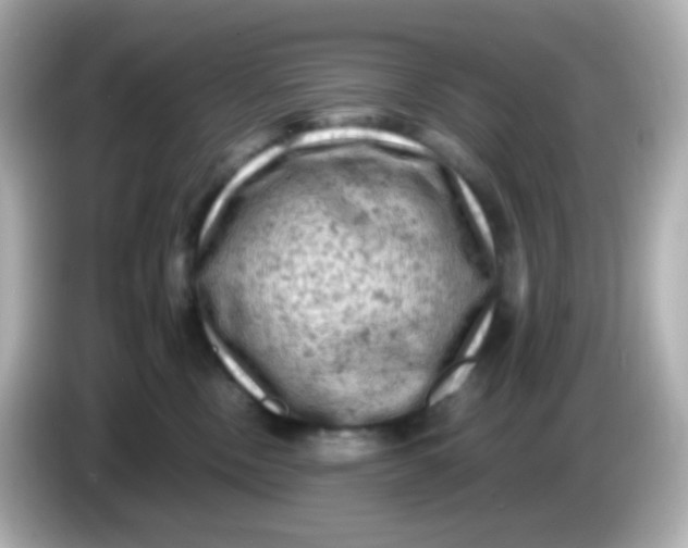 X0000086030378200704091137