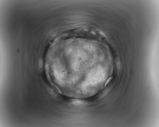 X0000086030380200704091137