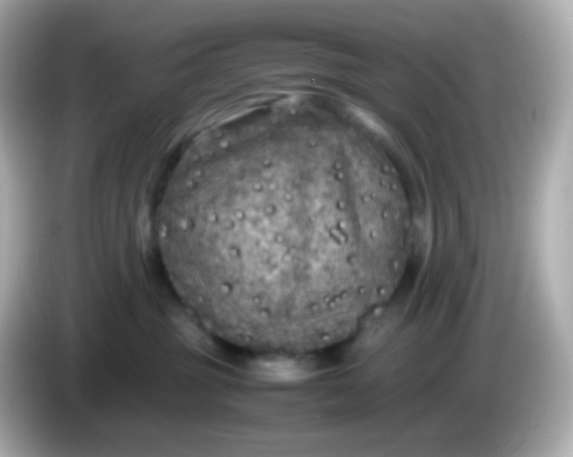 X0000086030381200704091137