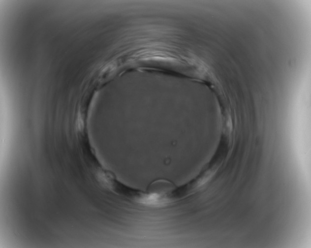 X0000086030382200704091137