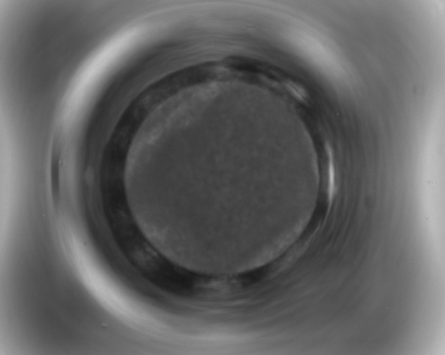 X0000086030383200704091137