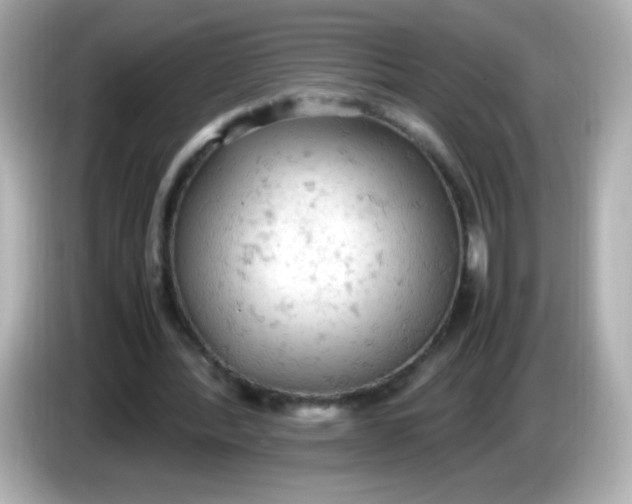 X0000086030388200704091136