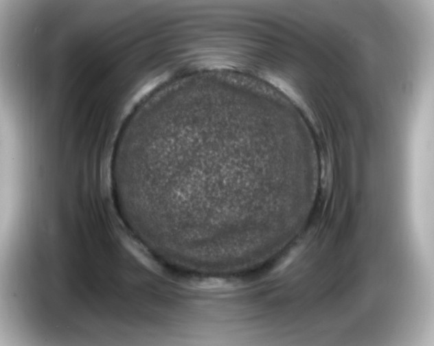 X0000086030390200704091136