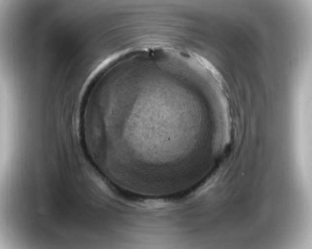 X0000086030391200704091136