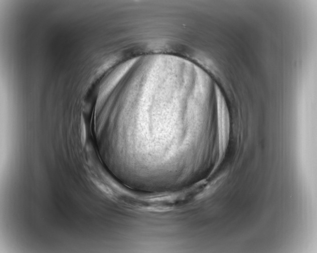 X0000086030393200704091136