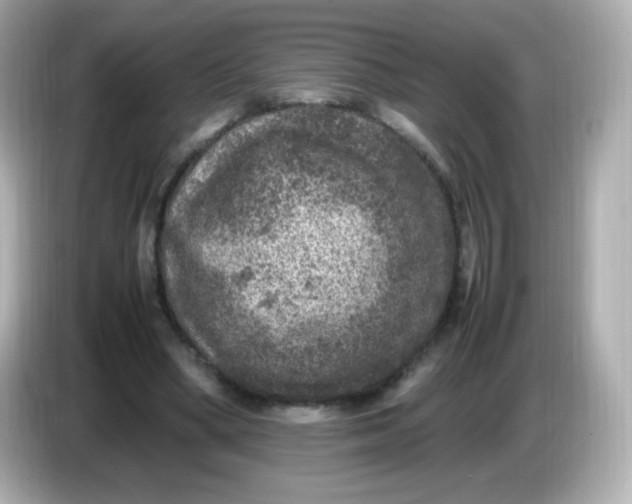 X0000086030394200704091136