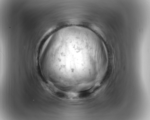 X0000086030395200704091136