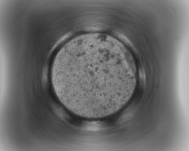 X0000086030396200704091136