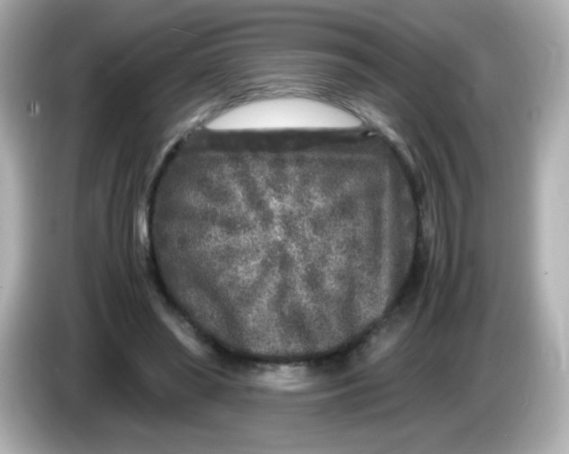 X0000086030398200704091136