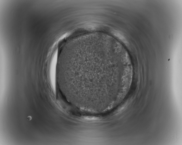 X0000086030399200704091136