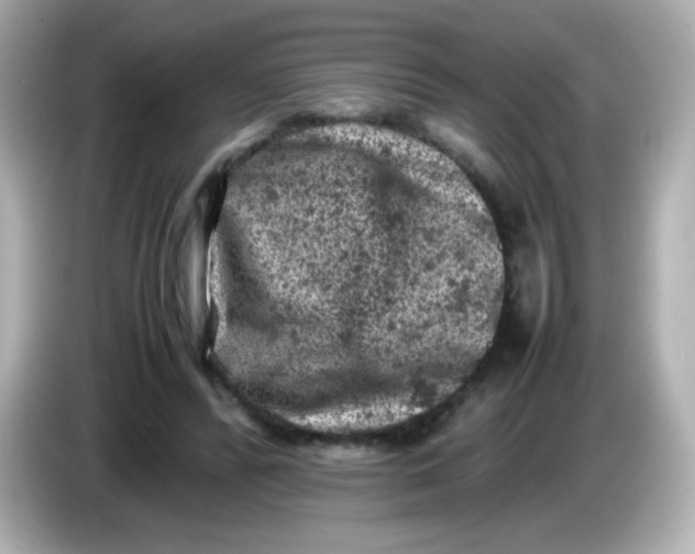 X0000086030400200704091136