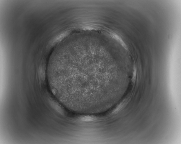 X0000086030402200704091136