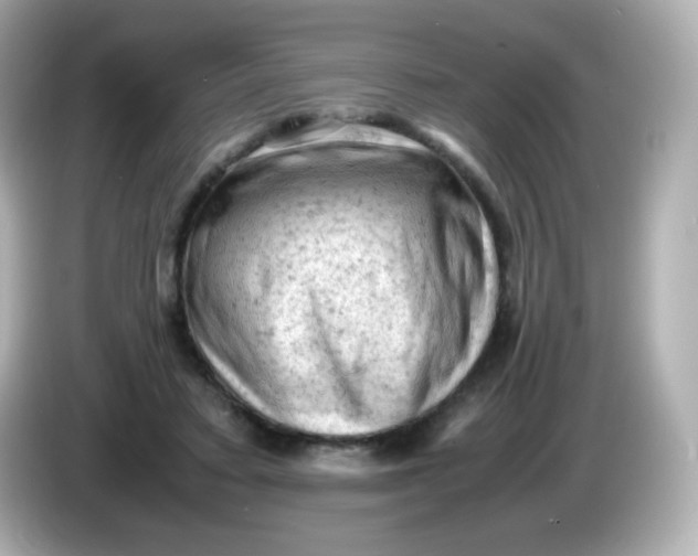 X0000086030403200704091136