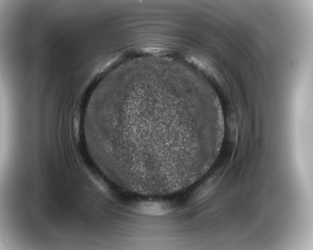 X0000086030404200704091136