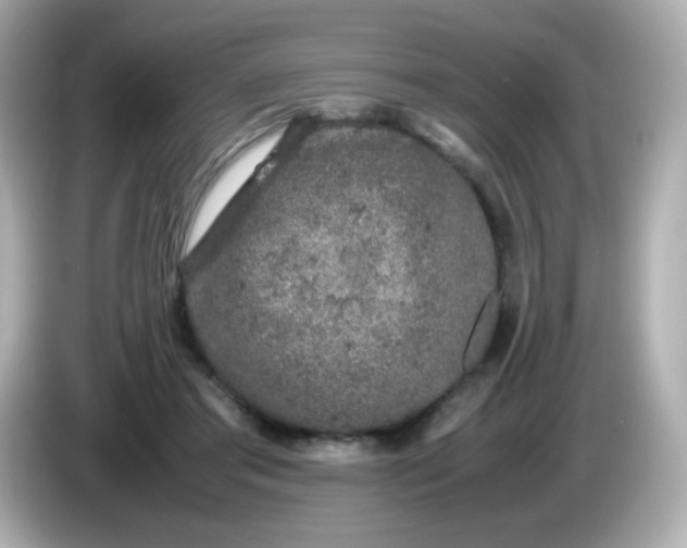 X0000086030405200704091136