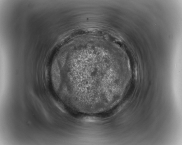 X0000086030408200704091136