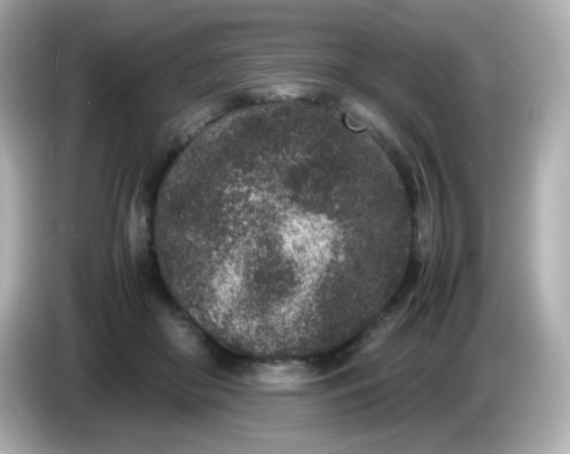 X0000086030410200704091136