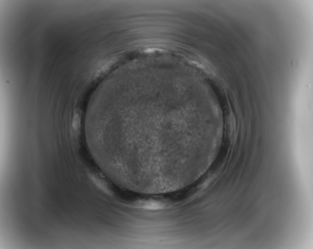 X0000086030412200704091136