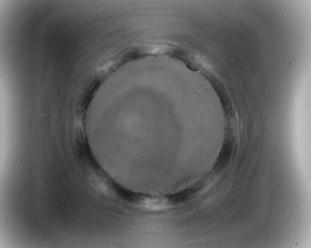 X0000086030415200704091136