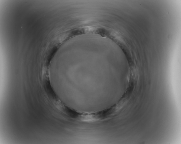 X0000086030419200704091136