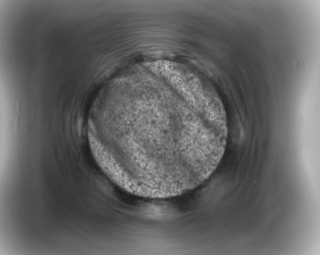 X0000086030420200704091136