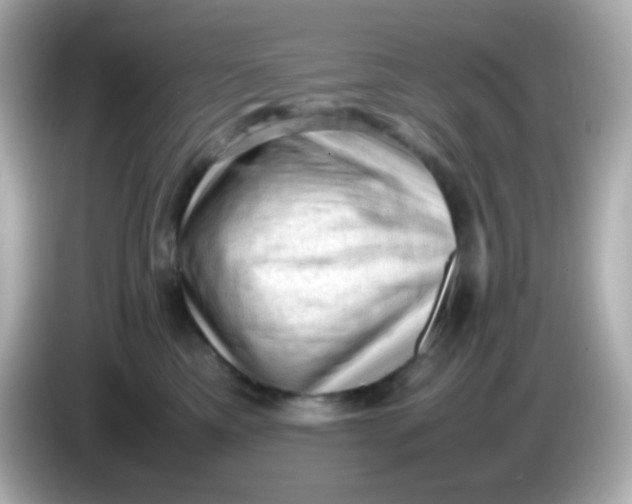 X0000086030425200704091136