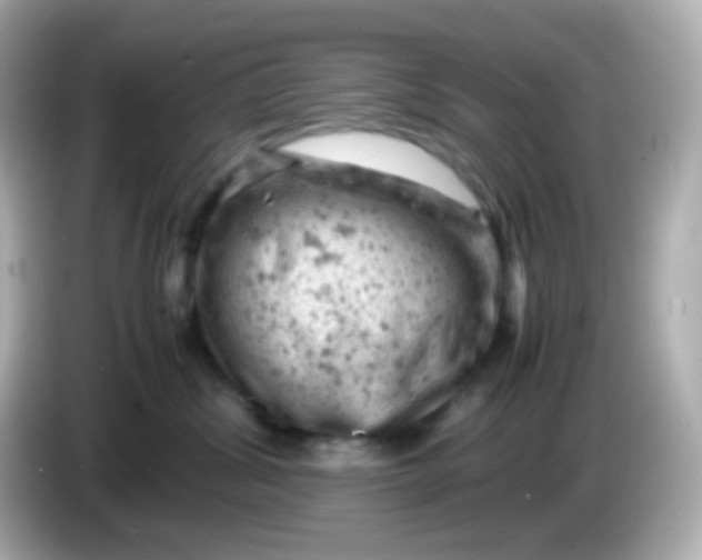 X0000086030428200704091136