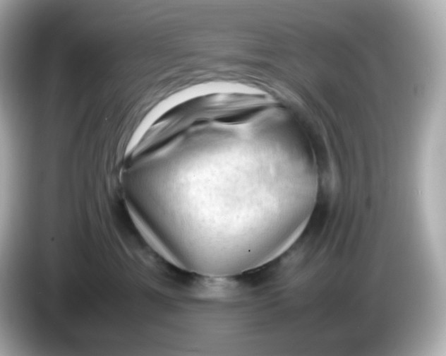 X0000086030429200704091136