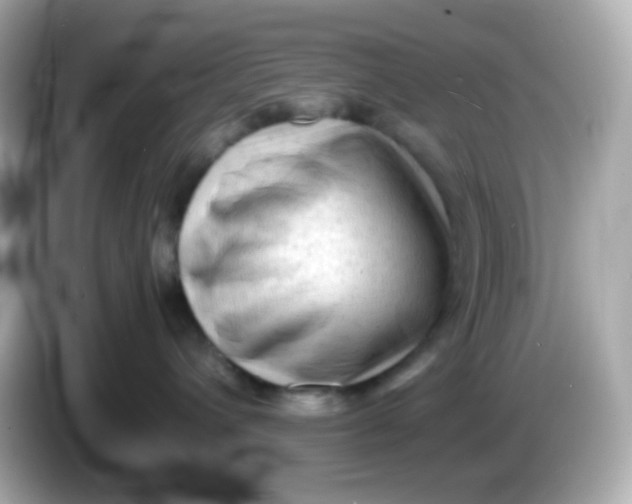 X0000086030432200704091136