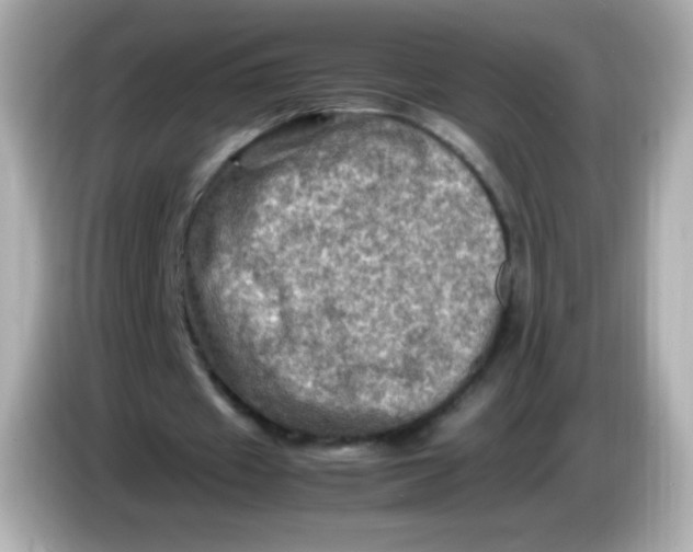 X0000086030433200704091135