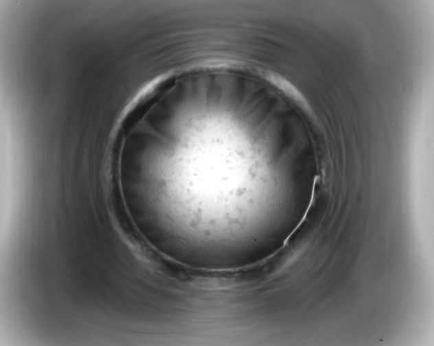 X0000086030436200704091135