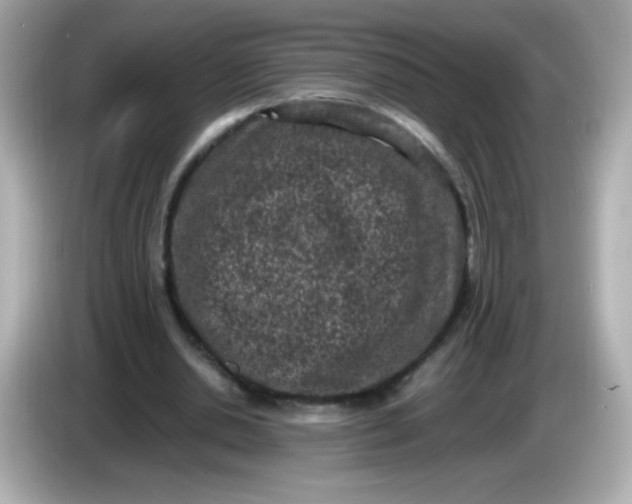 X0000086030438200704091135