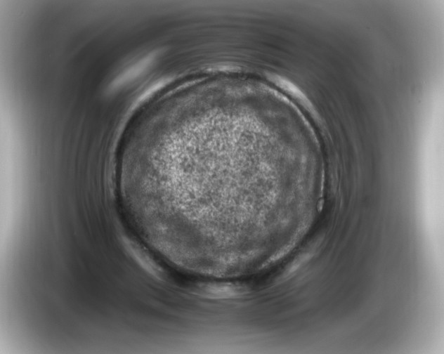 X0000086030439200704091135