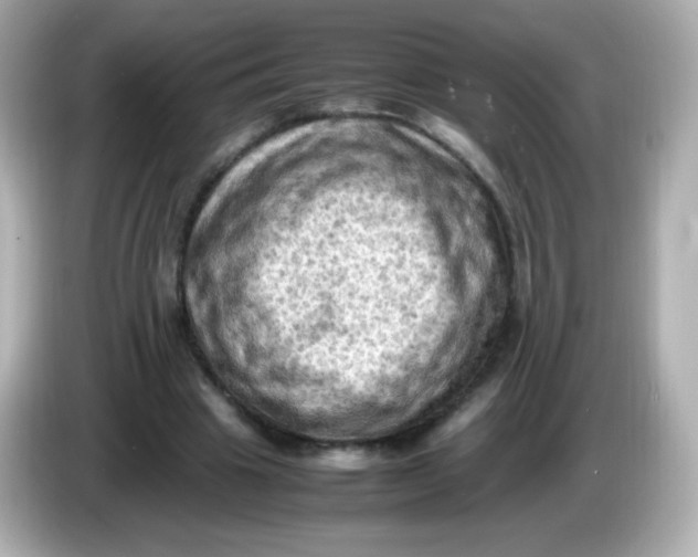 X0000086030441200704091135