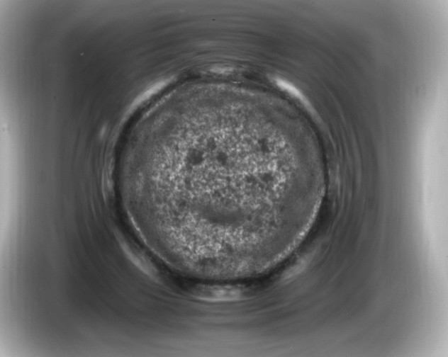 X0000086030443200704091135