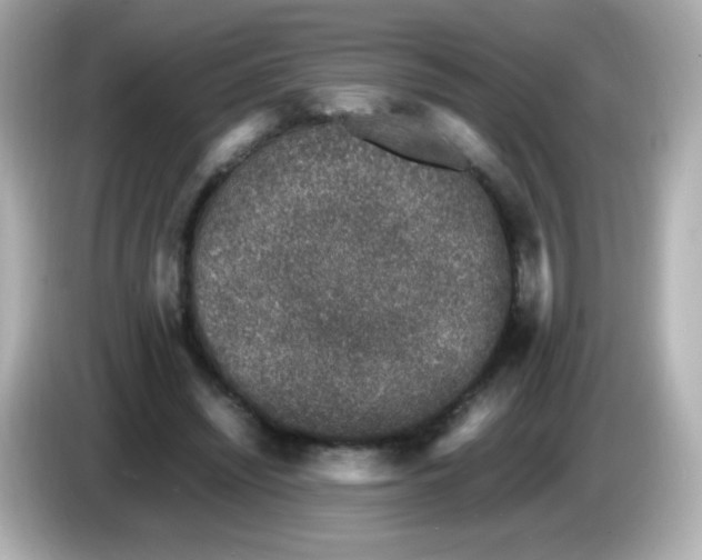 X0000086030444200704091135