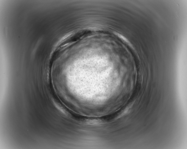 X0000086030446200704091135