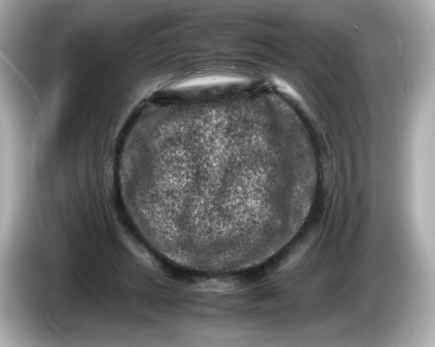 X0000086030447200704091135