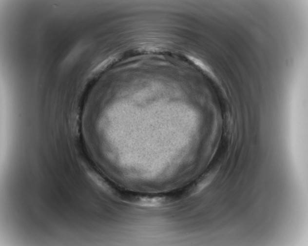 X0000086030450200704091135