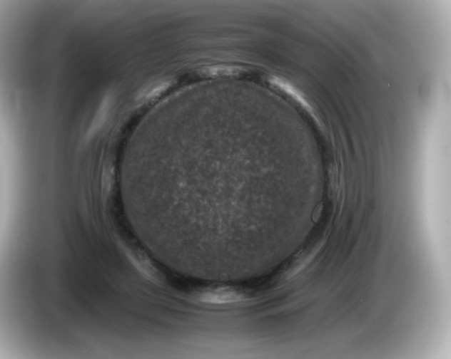 X0000086030451200704091135