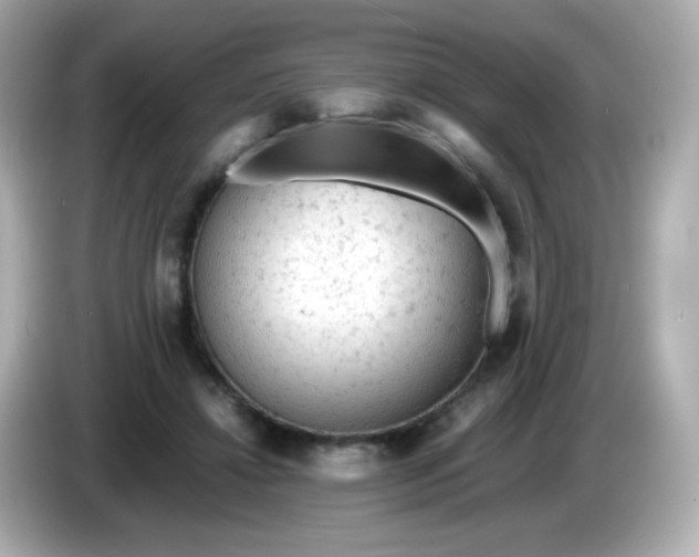 X0000086030452200704091135