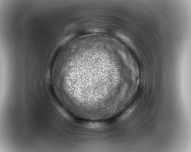 X0000086030453200704091135