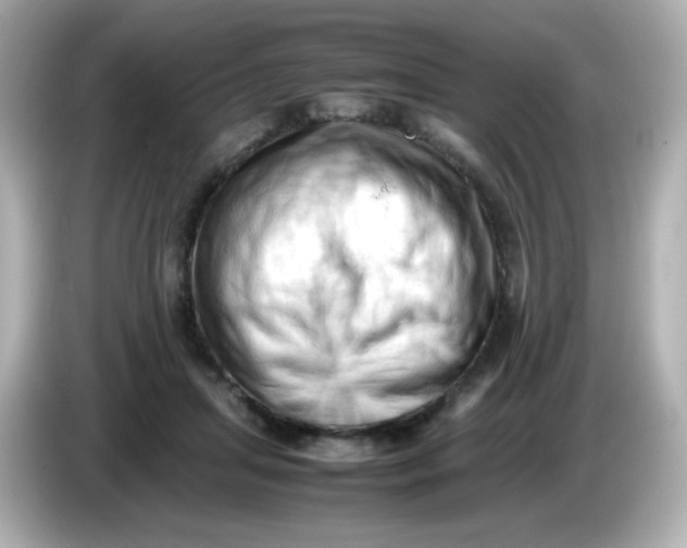 X0000086030455200704091135