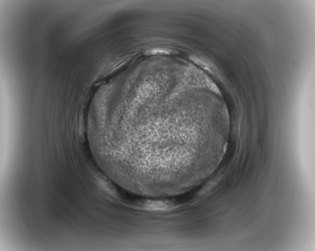 X0000086030457200704091135